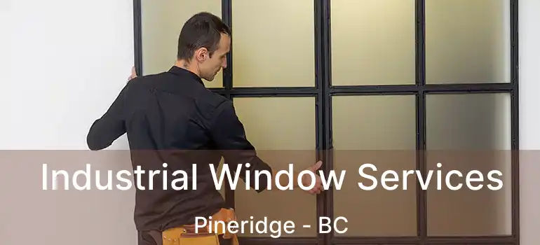  Industrial Window Services Pineridge - BC
