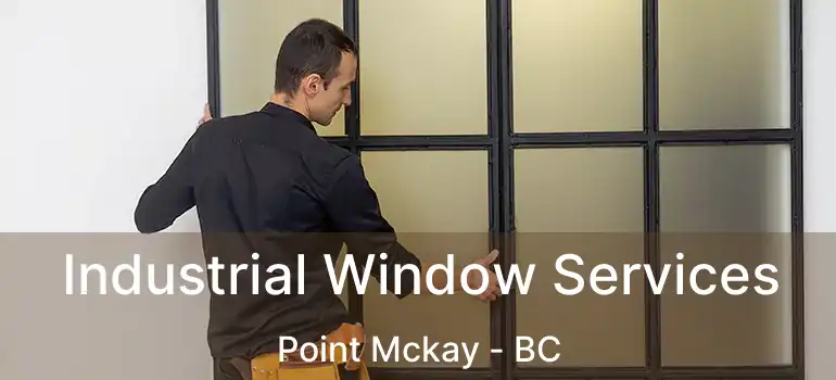  Industrial Window Services Point Mckay - BC