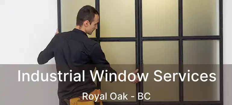  Industrial Window Services Royal Oak - BC
