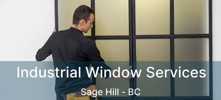  Industrial Window Services Sage Hill - BC