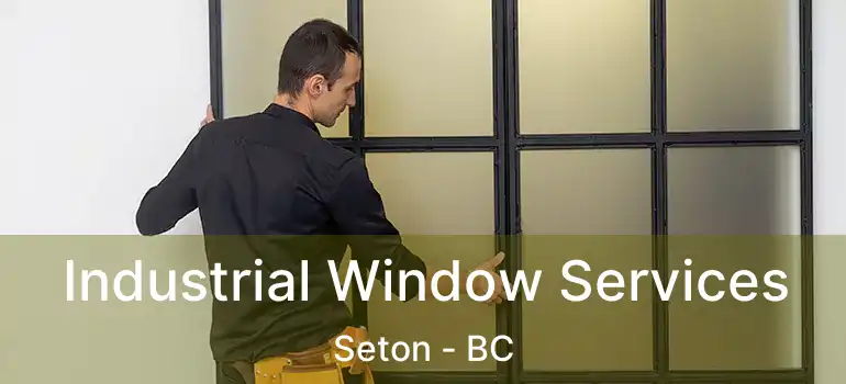  Industrial Window Services Seton - BC