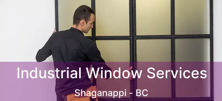  Industrial Window Services Shaganappi - BC
