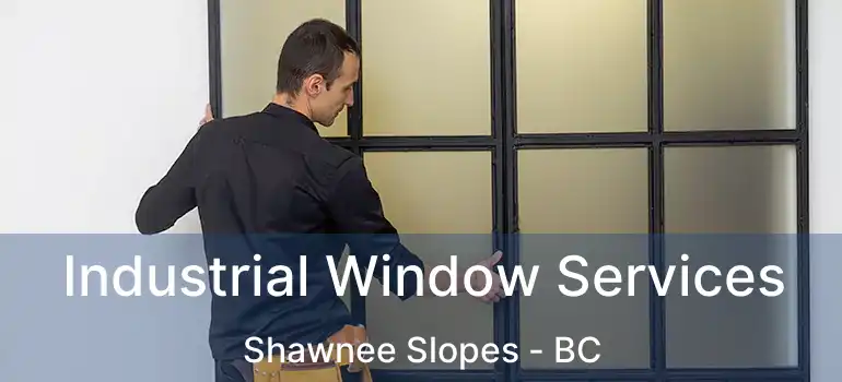  Industrial Window Services Shawnee Slopes - BC