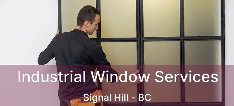  Industrial Window Services Signal Hill - BC