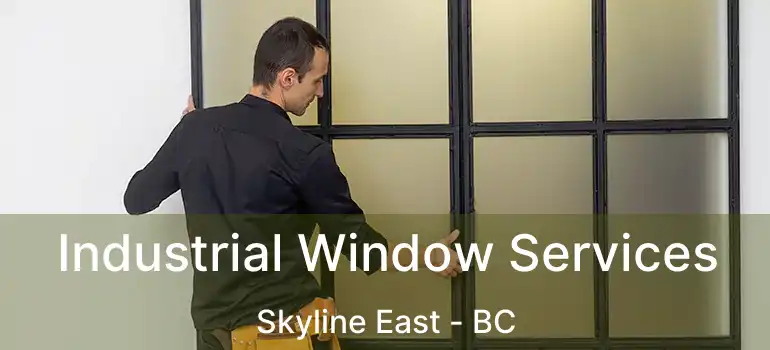  Industrial Window Services Skyline East - BC