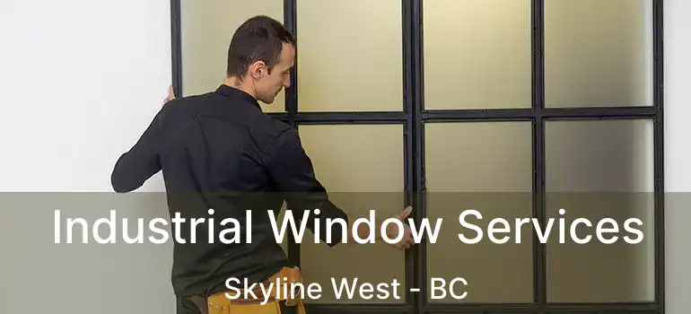  Industrial Window Services Skyline West - BC