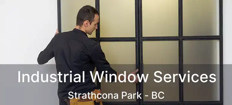  Industrial Window Services Strathcona Park - BC