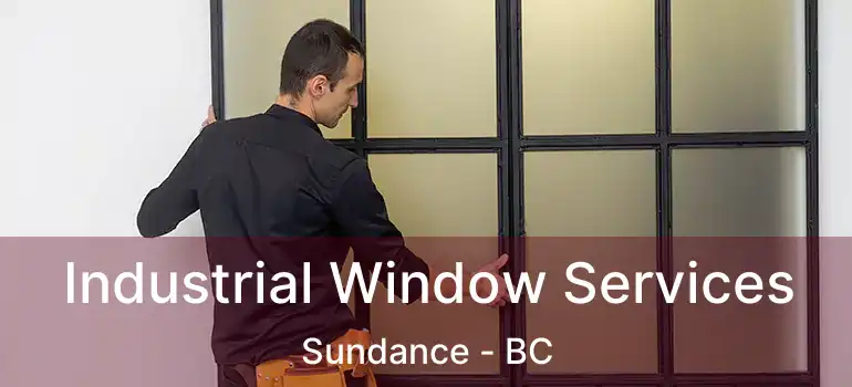  Industrial Window Services Sundance - BC