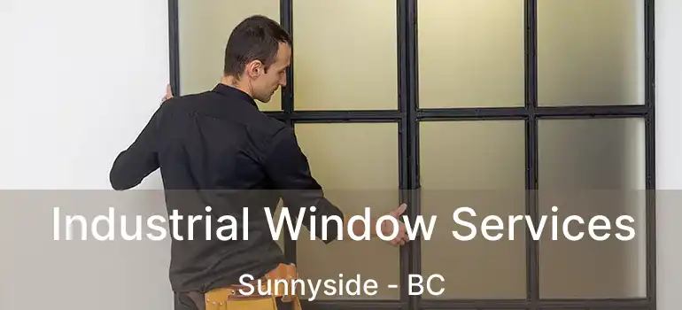  Industrial Window Services Sunnyside - BC