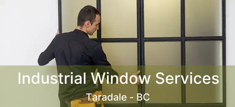  Industrial Window Services Taradale - BC