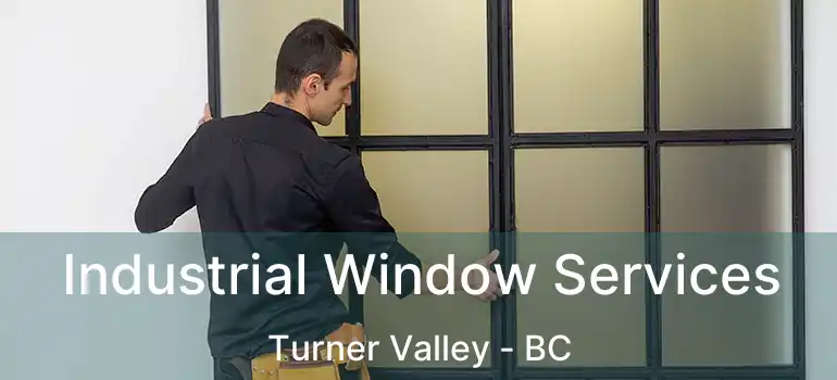  Industrial Window Services Turner Valley - BC