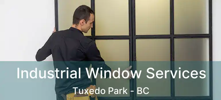  Industrial Window Services Tuxedo Park - BC