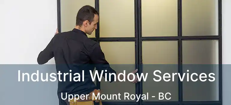  Industrial Window Services Upper Mount Royal - BC