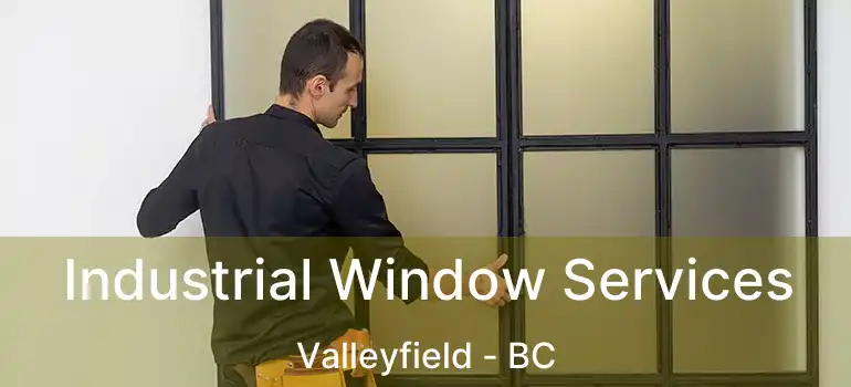  Industrial Window Services Valleyfield - BC