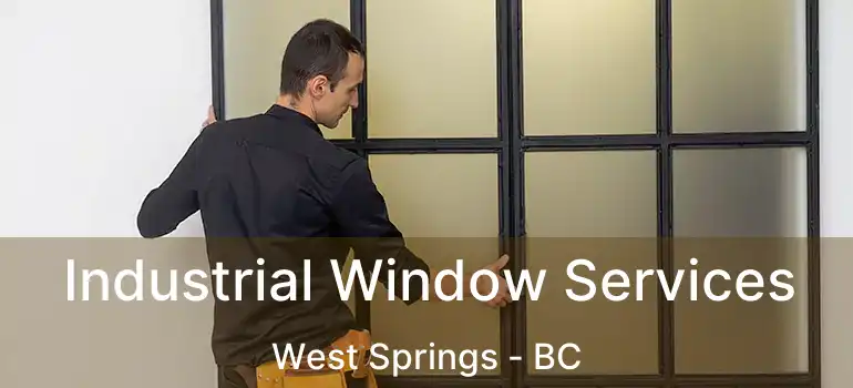  Industrial Window Services West Springs - BC