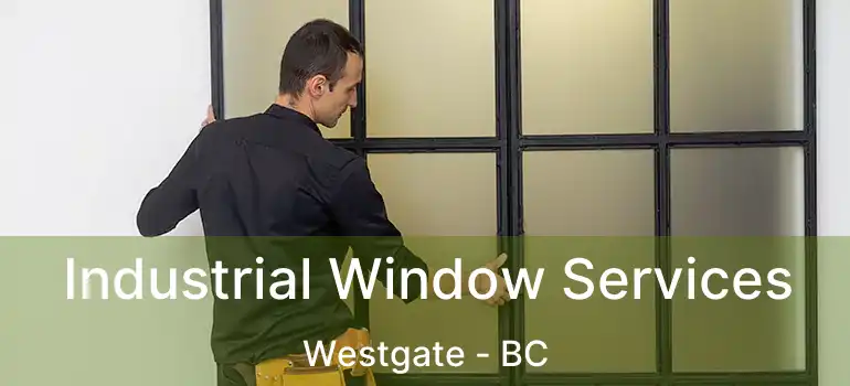  Industrial Window Services Westgate - BC