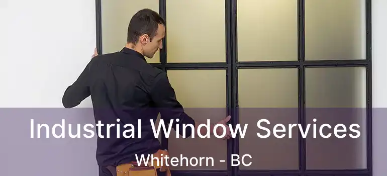  Industrial Window Services Whitehorn - BC
