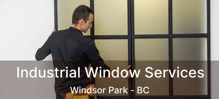  Industrial Window Services Windsor Park - BC
