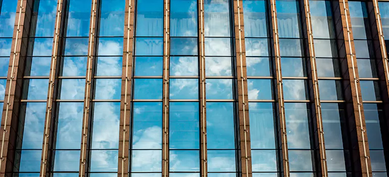 Professional Window Tinting Services in Maple Ridge, BC