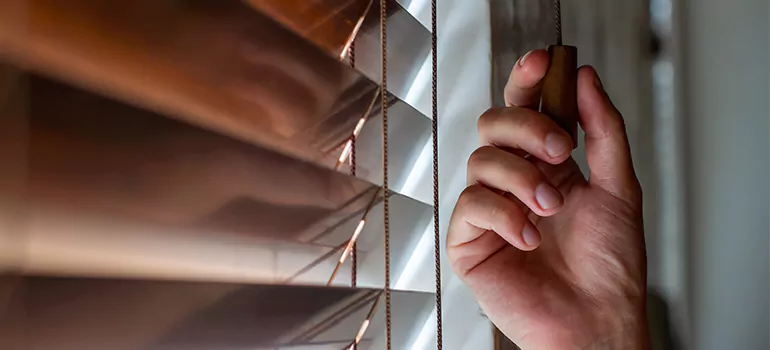 Double Roller Blinds in Maple Ridge, British Columbia