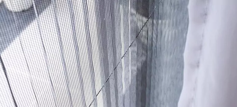 Fixing Screen Window Mesh in Maple Ridge, British Columbia