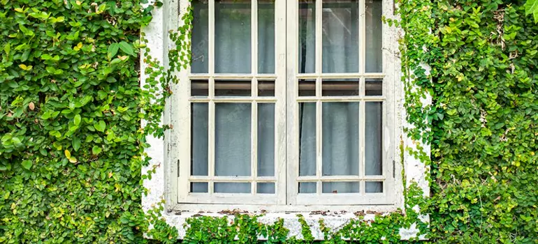 arden Window Repair Near Me in Maple Ridge, BC