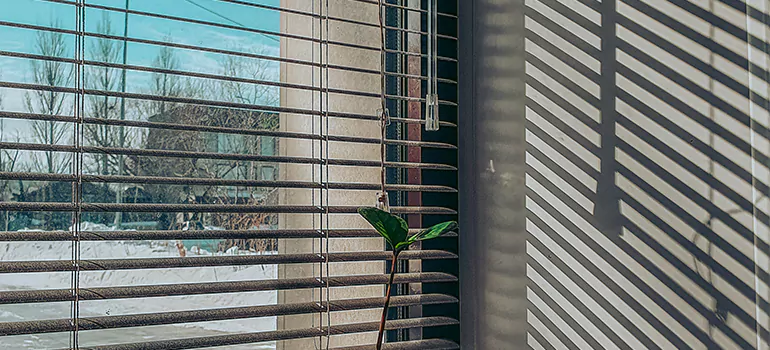 Commercial Window Blinds in Maple Ridge, BC