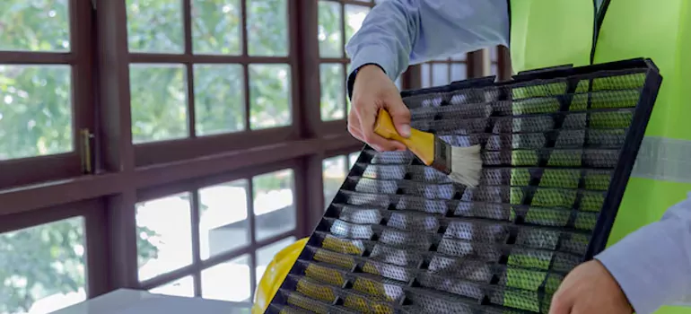 Traditional Window Grille Installation Options in Maple Ridge, BC