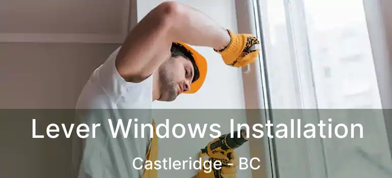 Lever Windows Installation Castleridge - BC