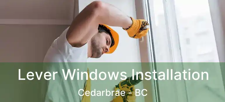  Lever Windows Installation Cedarbrae - BC