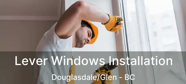 Lever Windows Installation Douglasdale/Glen - BC