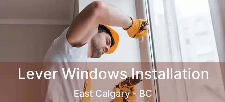  Lever Windows Installation East Calgary - BC