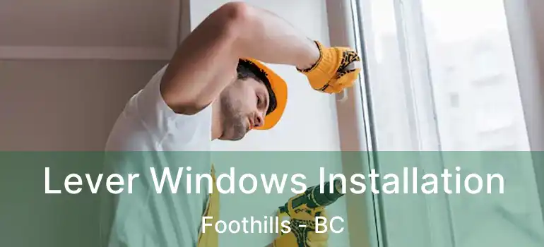  Lever Windows Installation Foothills - BC