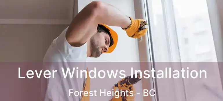  Lever Windows Installation Forest Heights - BC