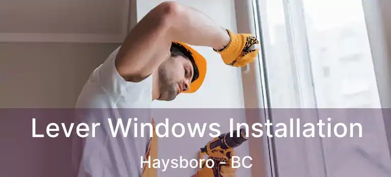  Lever Windows Installation Haysboro - BC