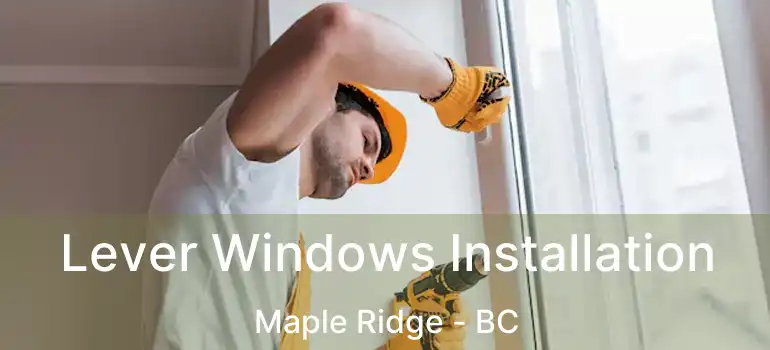  Lever Windows Installation Maple Ridge - BC