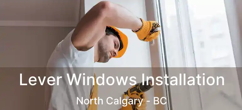  Lever Windows Installation North Calgary - BC