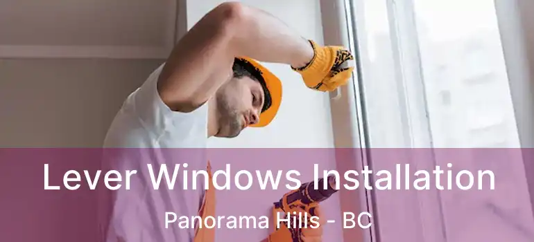  Lever Windows Installation Panorama Hills - BC