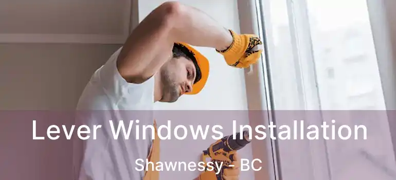  Lever Windows Installation Shawnessy - BC