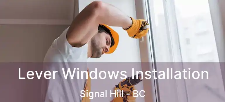  Lever Windows Installation Signal Hill - BC