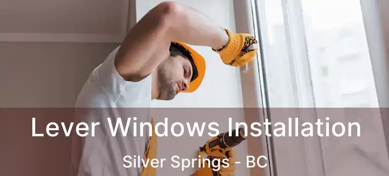 Lever Windows Installation Silver Springs - BC