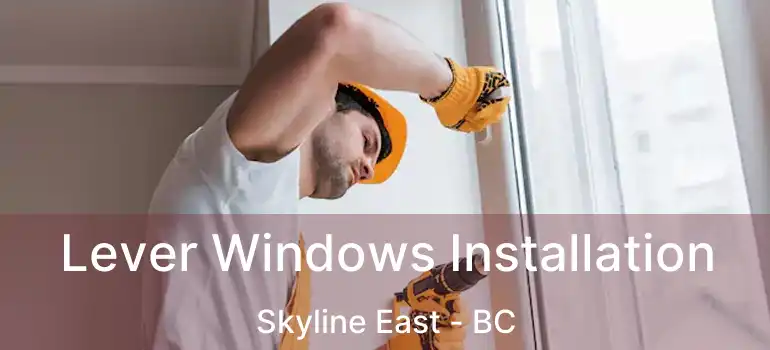  Lever Windows Installation Skyline East - BC