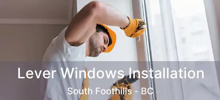  Lever Windows Installation South Foothills - BC