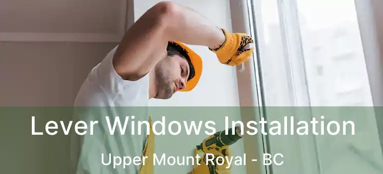  Lever Windows Installation Upper Mount Royal - BC