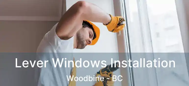  Lever Windows Installation Woodbine - BC