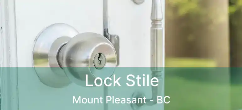  Lock Stile Mount Pleasant - BC