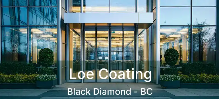  Loe Coating Black Diamond - BC