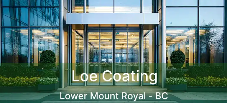  Loe Coating Lower Mount Royal - BC
