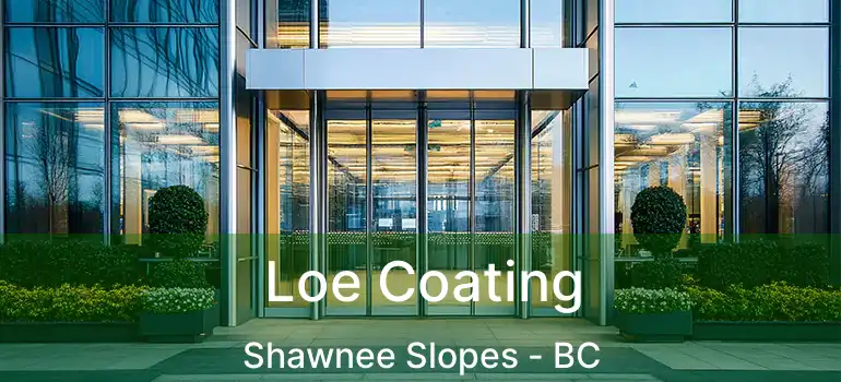  Loe Coating Shawnee Slopes - BC