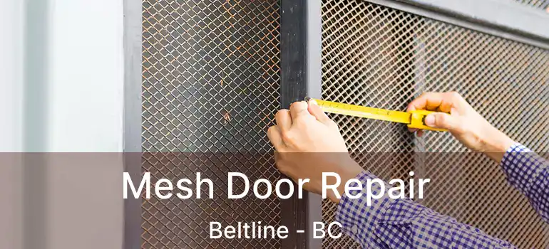 Mesh Door Repair Beltline - BC